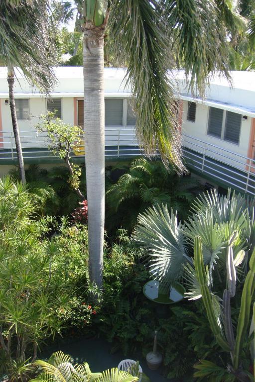 El Patio Motel Key West Exterior photo
