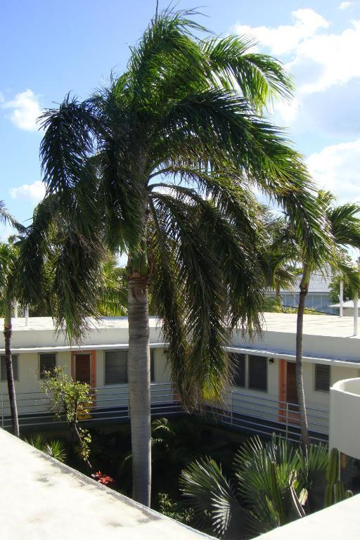 El Patio Motel Key West Exterior photo